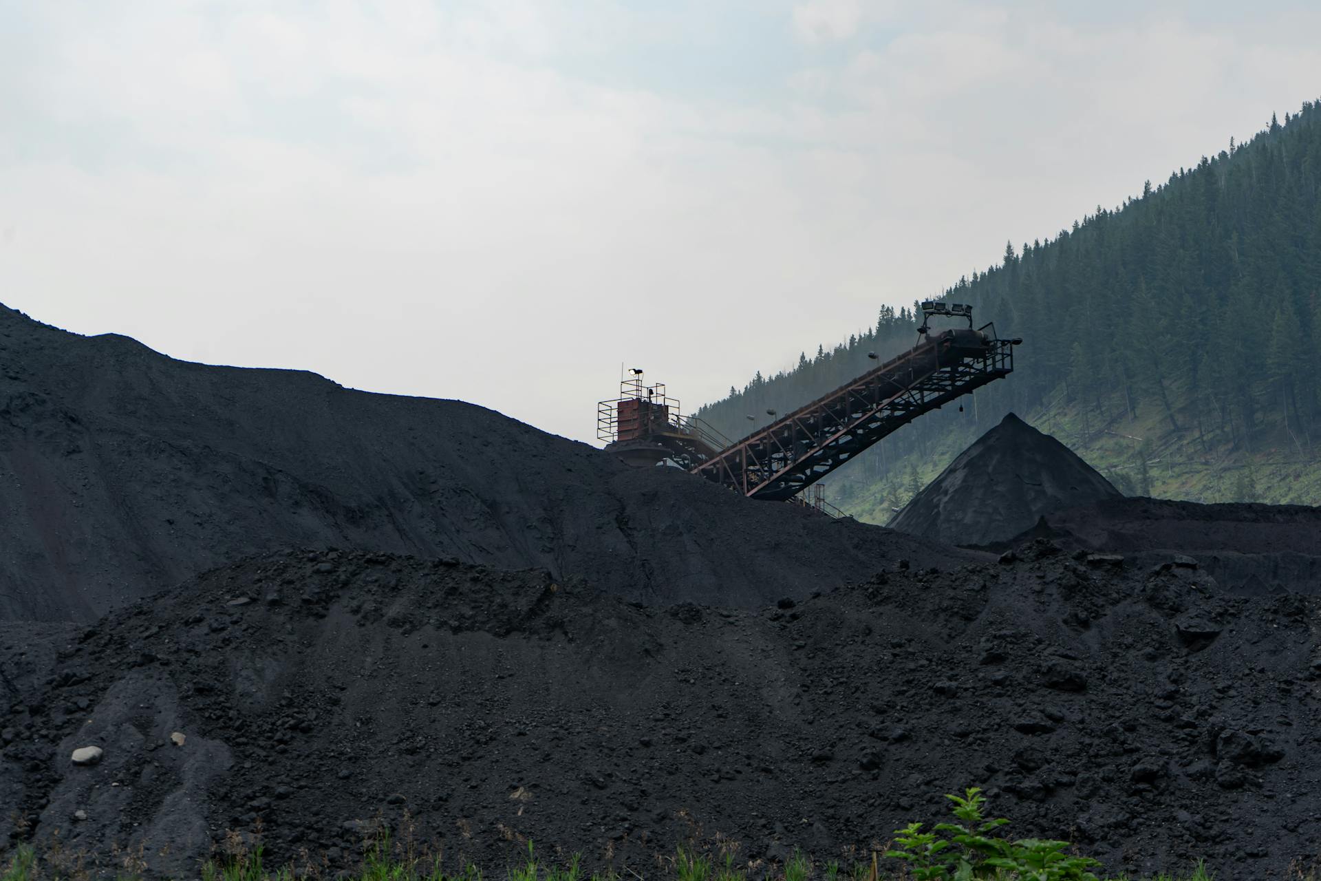 Coal Displaced